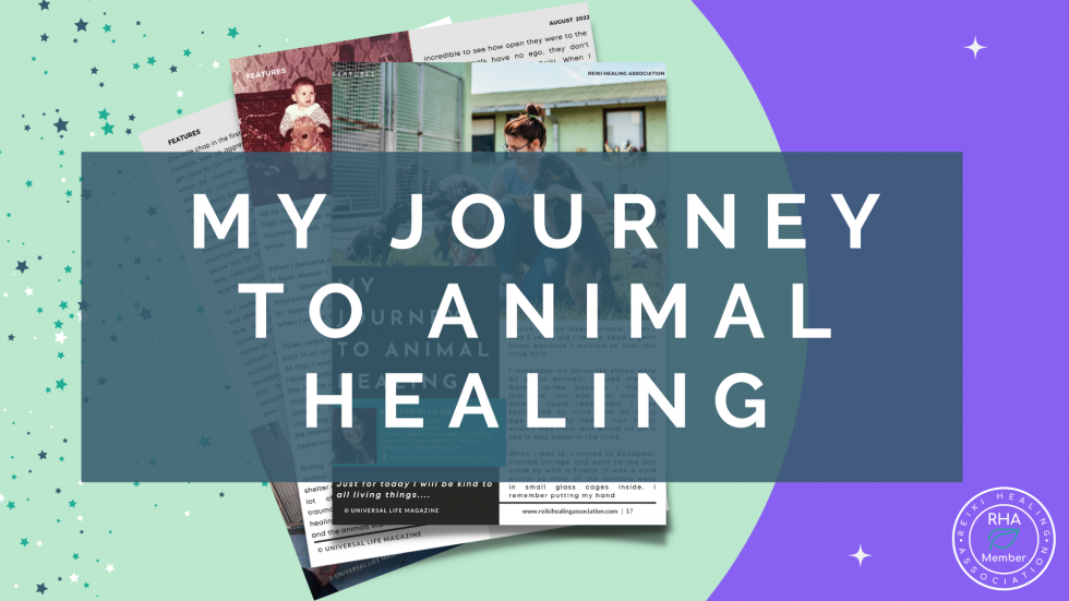 My Journey to Animal Healing