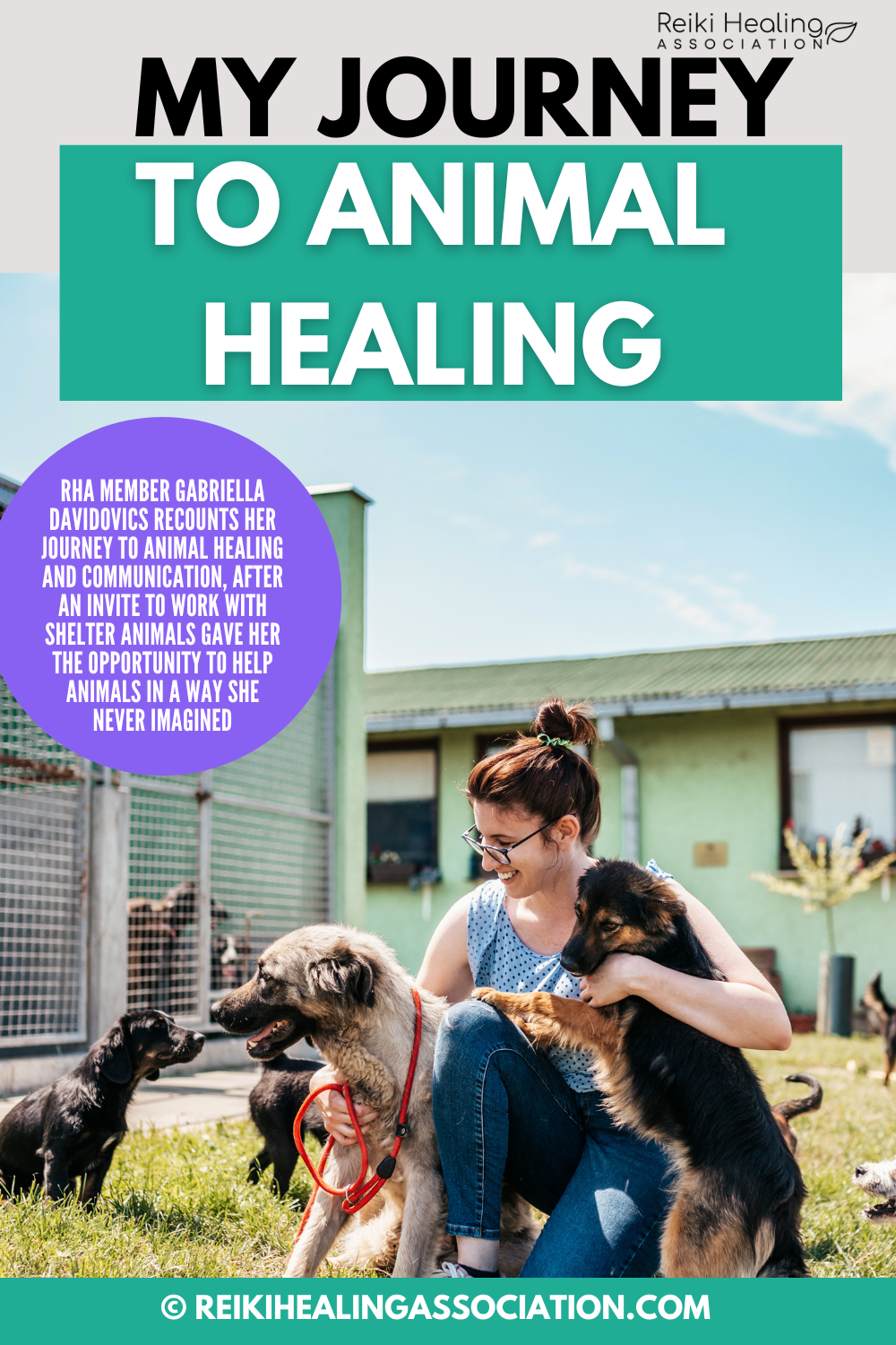 animal-healing-reiki-for-animals