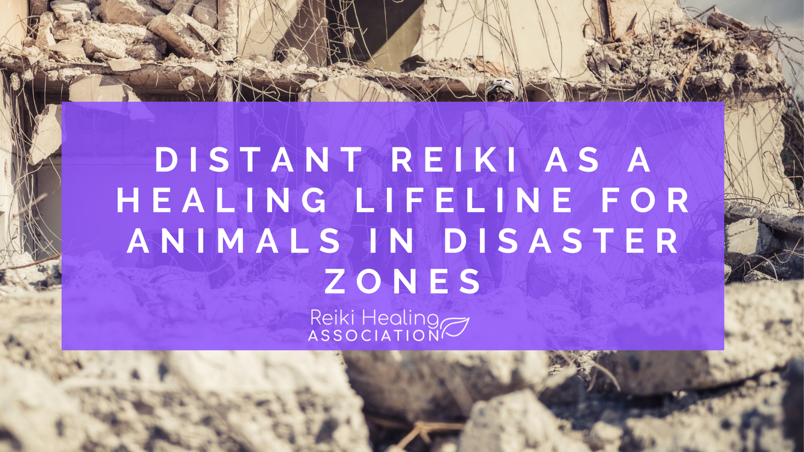 Distant Reiki for Animals in Natural Disasters