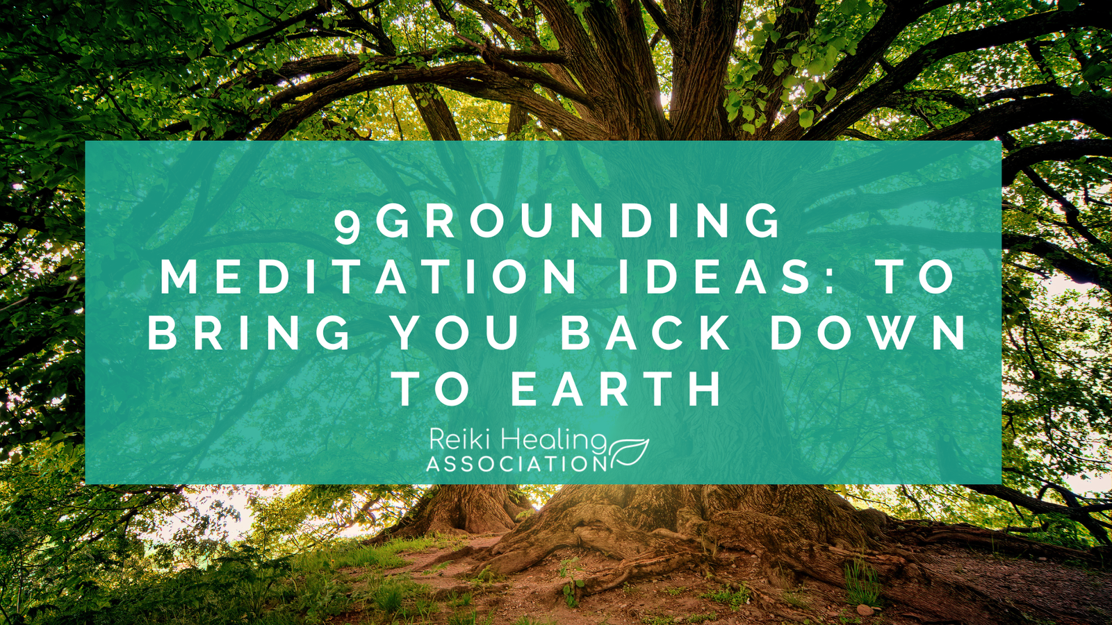 9 Grounding Meditation Ideas: To bring you Back down to Earth