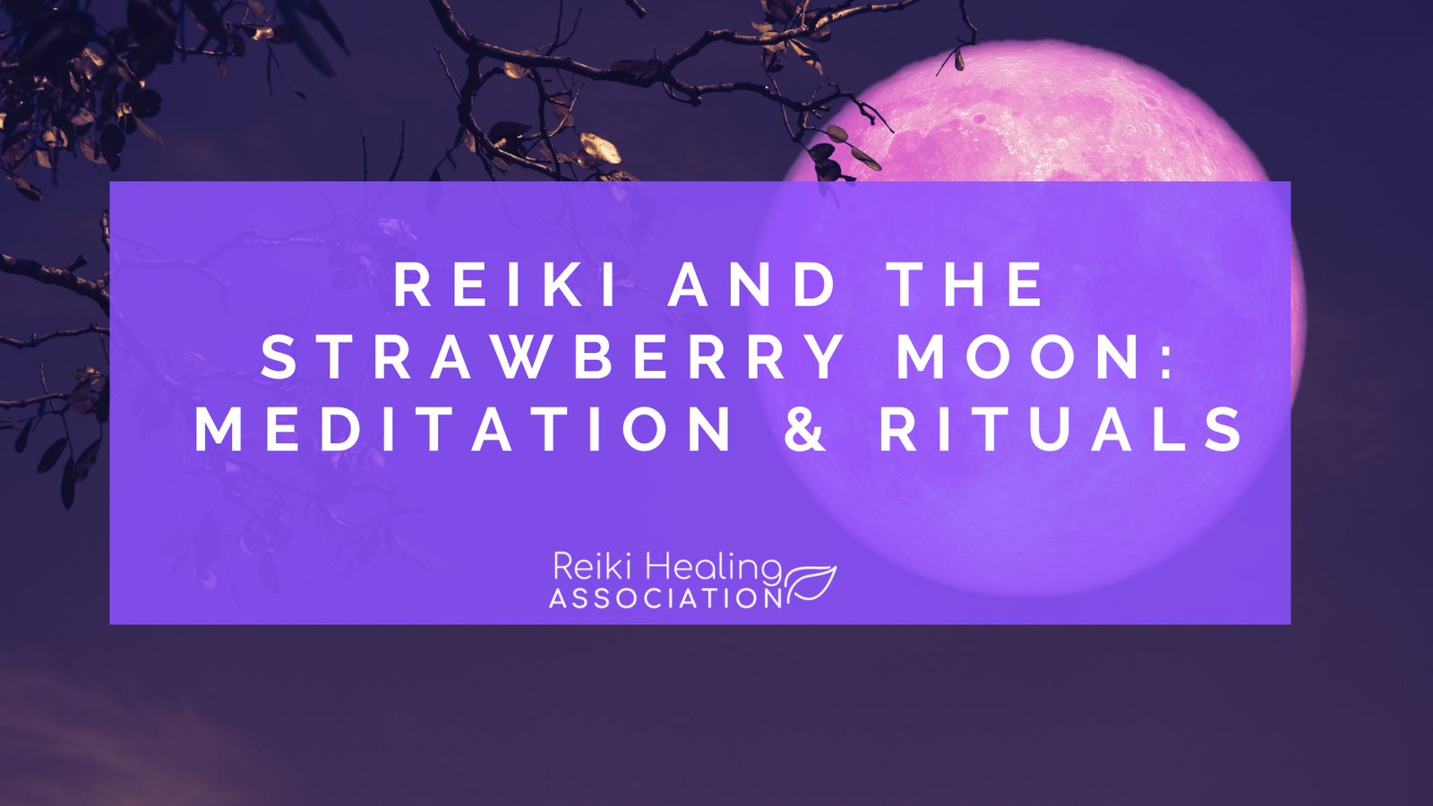 Reiki and the Strawberry Moon