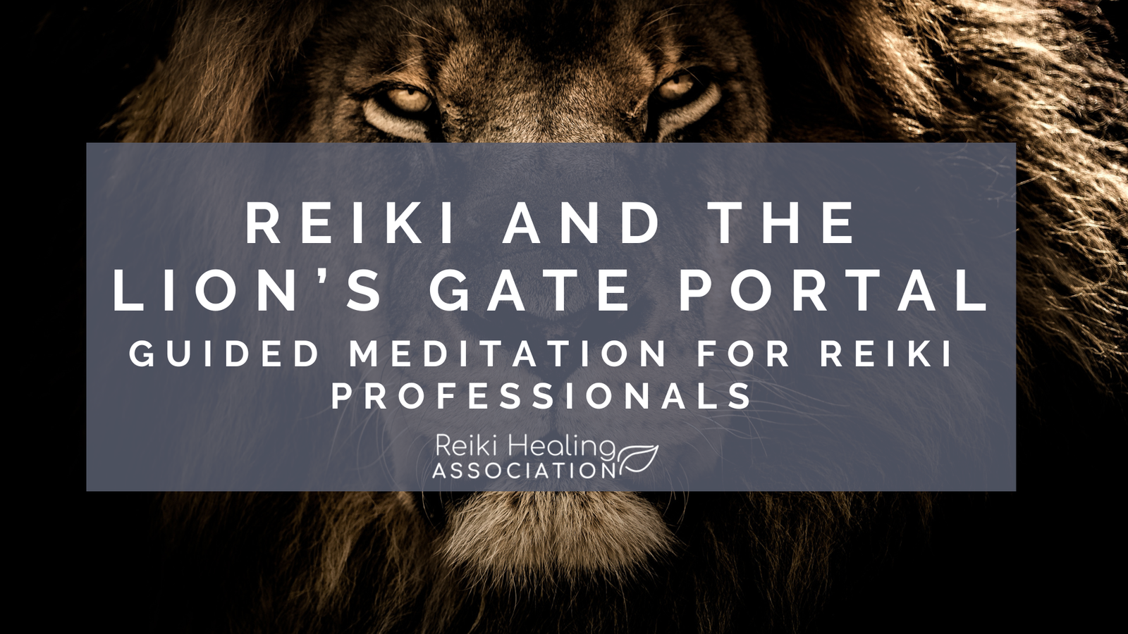 Guided Lion's Gate Portal Meditation for Reiki Professionals