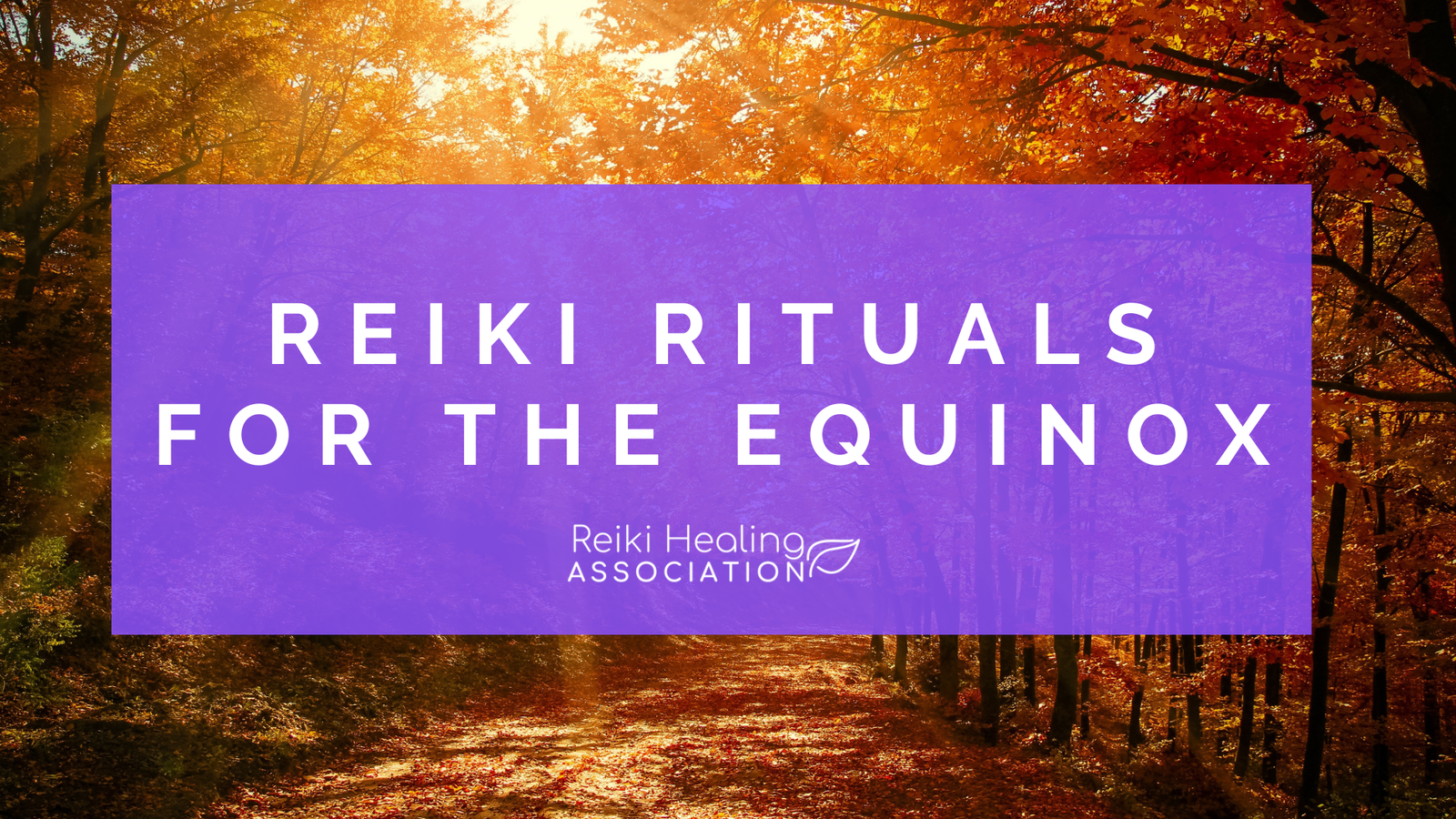 Reiki Rituals for the Equinox The Spiritual Significance of the Equinox