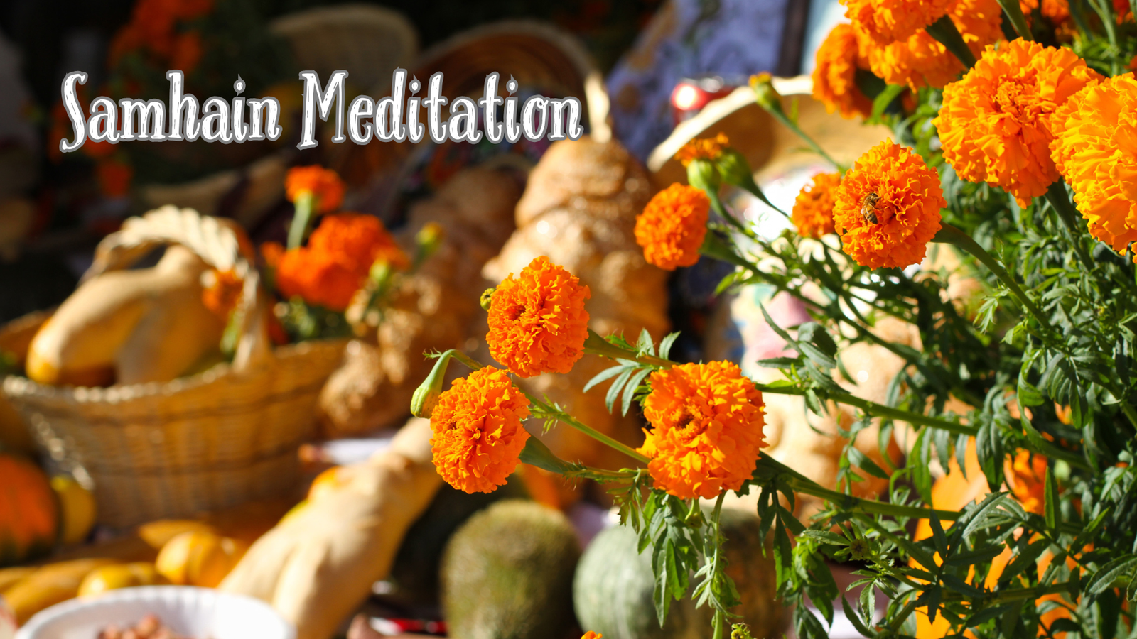 Guided Meditation: Honoring Samhain